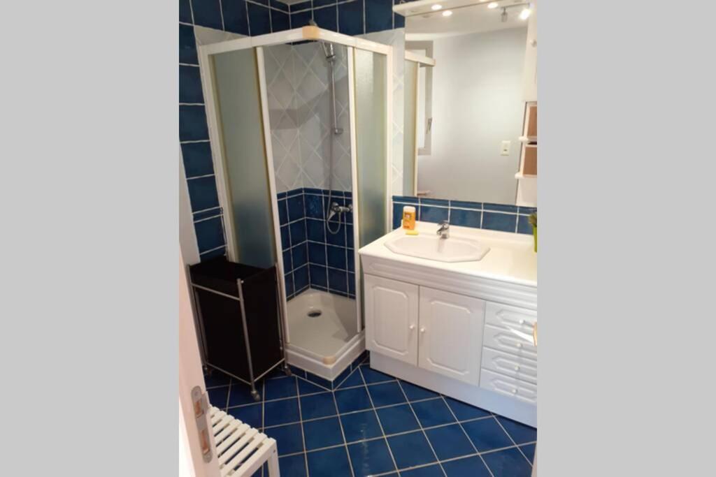 Gite Provencal Independant Avec Piscine Chauffee : Le Suy Bien Flayosc Ngoại thất bức ảnh