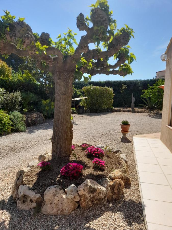 Gite Provencal Independant Avec Piscine Chauffee : Le Suy Bien Flayosc Ngoại thất bức ảnh